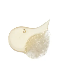 Amber 528 Scented Hand & Body Wash