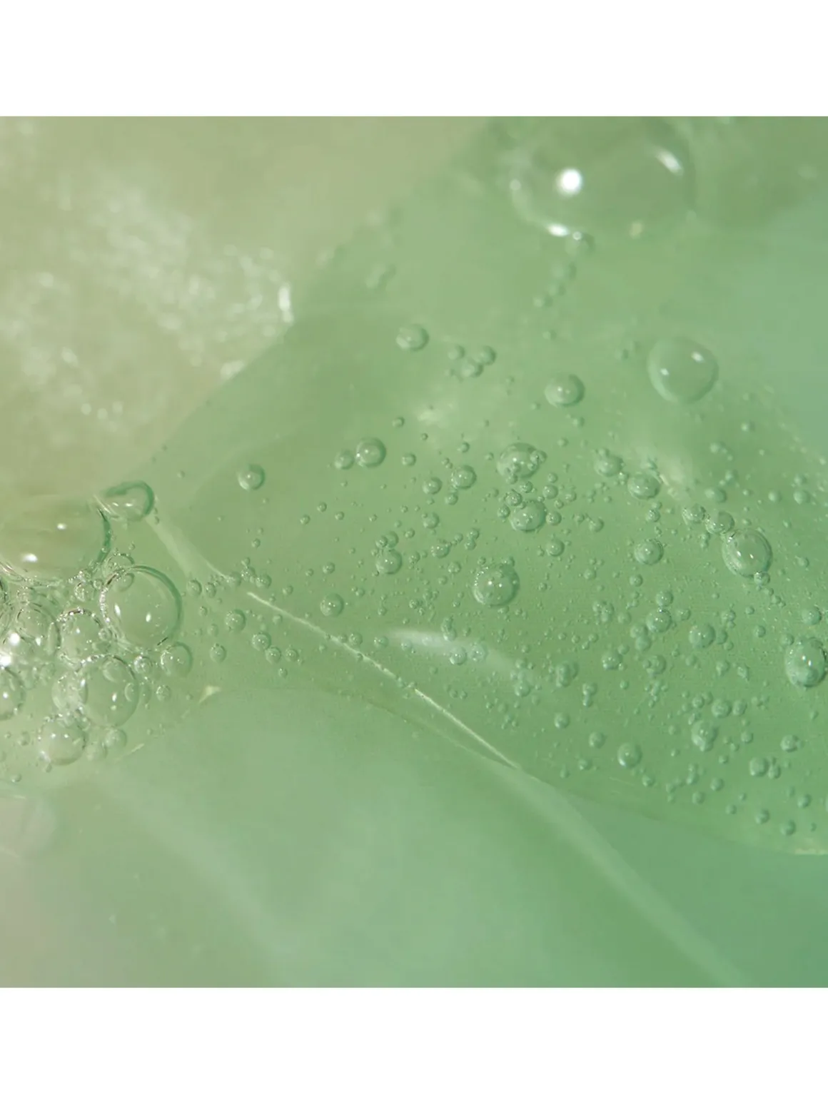 Mugwort Green Vital Energy Complex Sheet